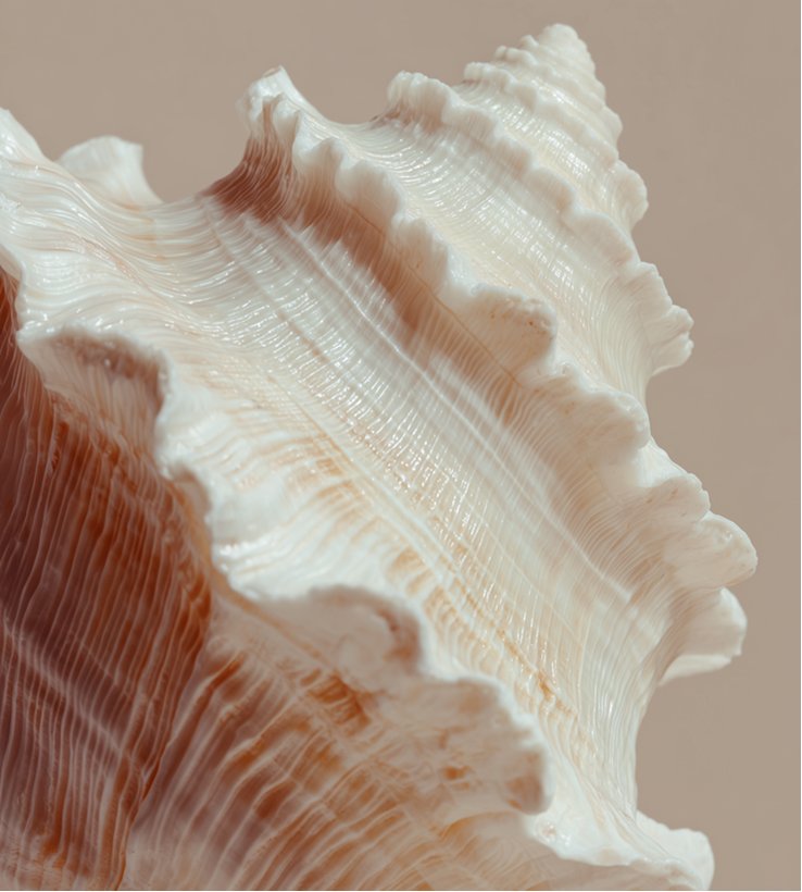 Slider Img